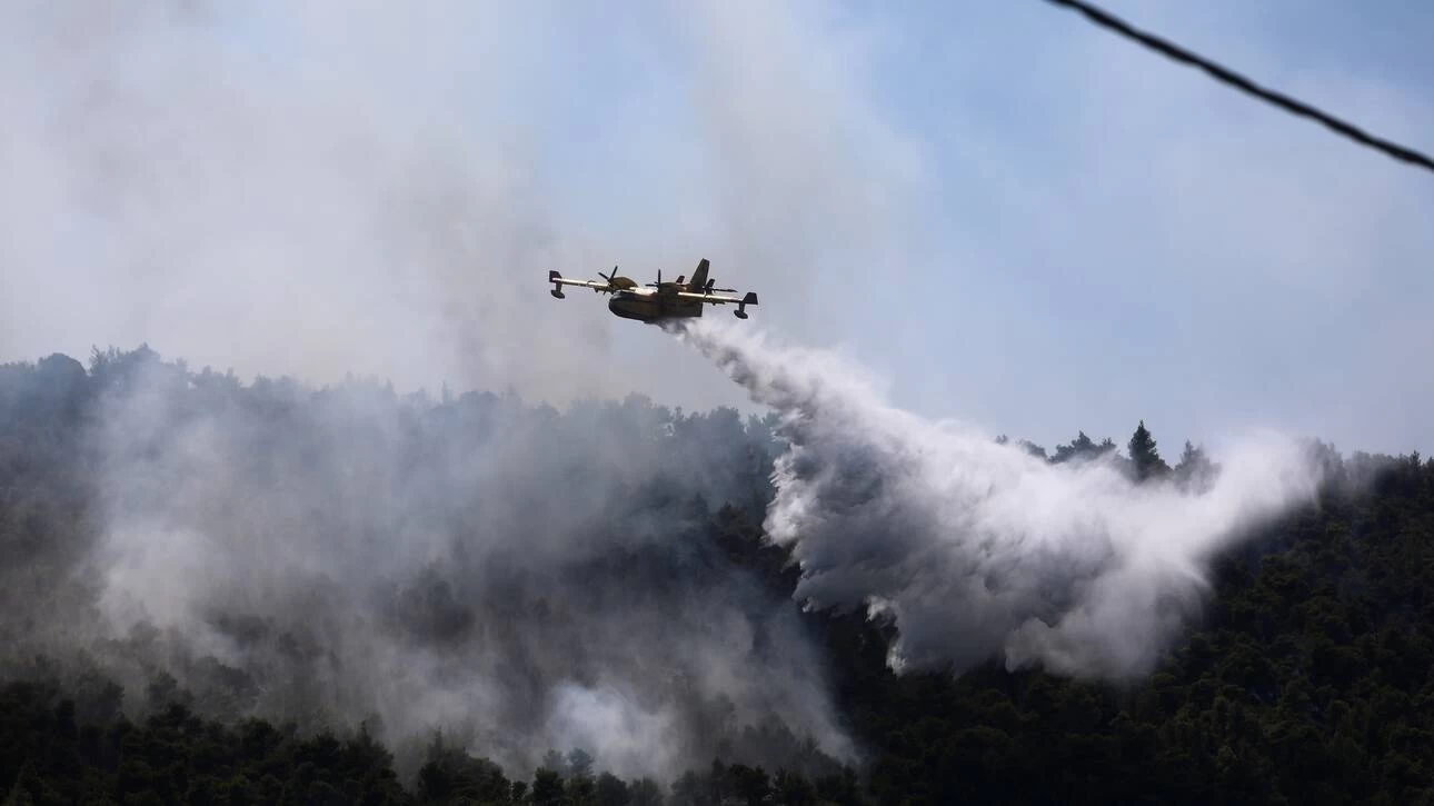 Φωτιά στα Βίλια: 3η μέρα καταστροφής – Κίνδυνος για Παλαιοχώρι και Θέα
